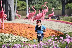 BIB: 
                            <button type="button" onclick="openModal(27793577)" class="btn btn-primary btn-sm float-right btn-popup" data-toggle="modal" data-target=".modal-high-quality">
                        <i class="fas fa-shopping-cart"></i> Add to Cart
                    </button>
                                            <button type="button" onclick="isThisMe(27793577, true)" class="btn btn-success btn-sm float-right btn-popup btn-isme hidden" data-toggle="tooltip" data-placement="bottom" title="นี่คือรูปของคุณใช่ไหม คลิกที่นี่เพื่อเอาเข้าอัลบั้ม">
                        <i class="fas fa-plus"></i> Add to album
                    </button>
                    <button type="button" onclick="isThisMe(27793577, false)" class="btn btn-warning btn-sm float-right btn-popup btn-isnotme hidden">
                        <i class="fas fa-ban"></i> Remove from album
                    </button>